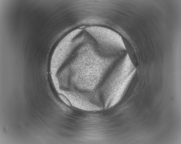 X0000068720438200605192257