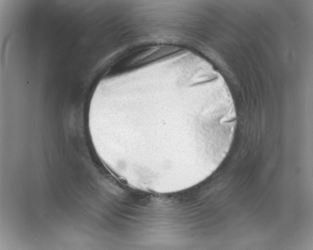 X0000068720442200605192257