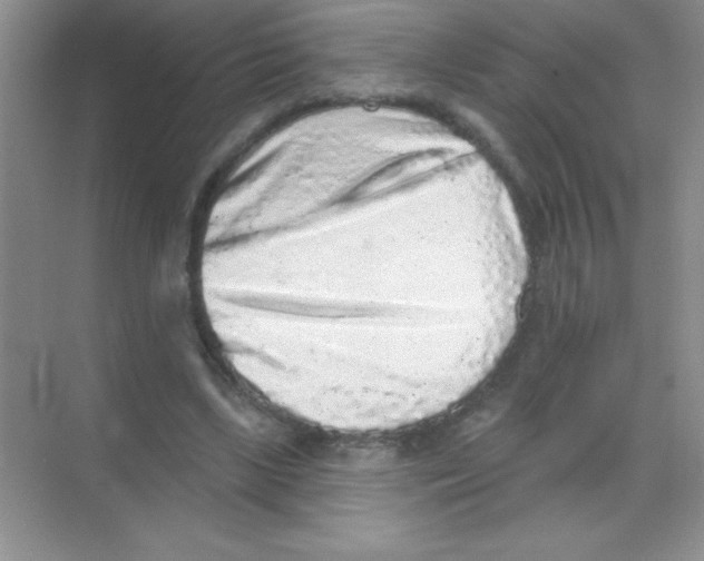 X0000068720443200605192257