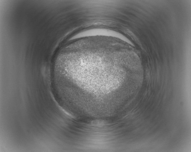 X0000068720444200605192257