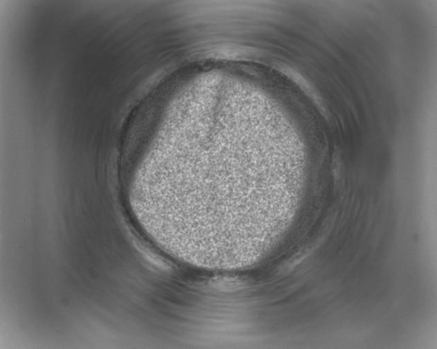 X0000068720445200605192257