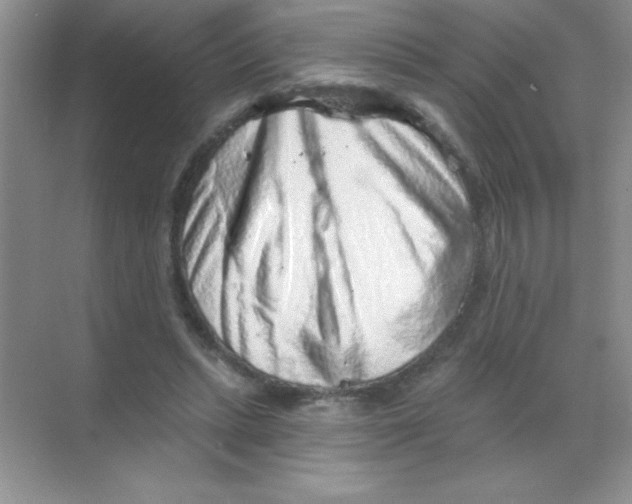 X0000068720447200605192257