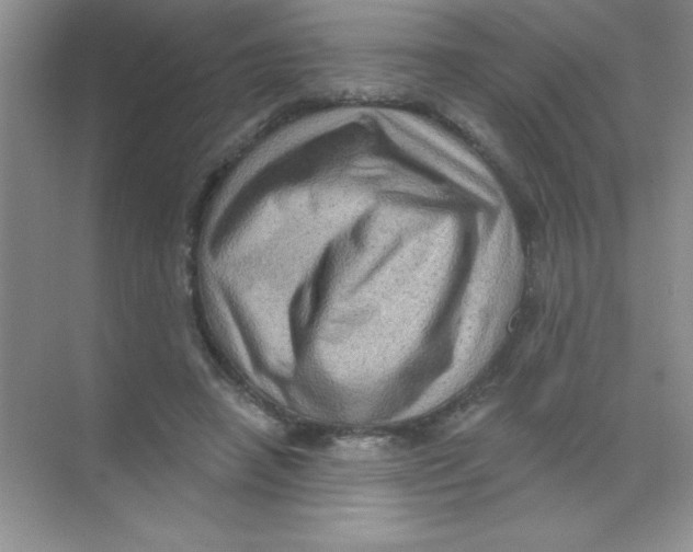 X0000068720450200605192257