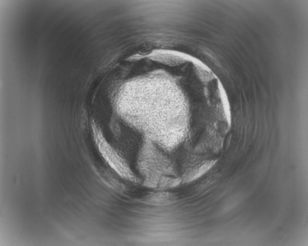 X0000068720459200605192257