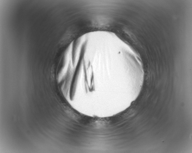 X0000068720466200605192258