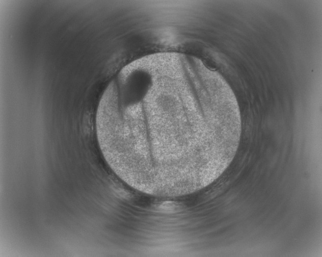 X0000068720467200605192258