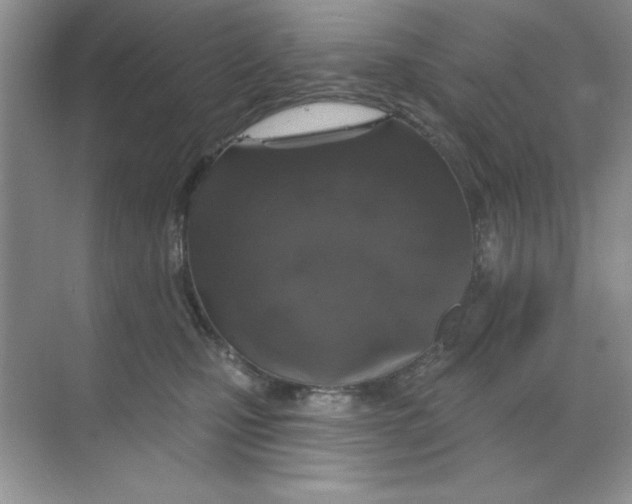 X0000068720471200605192258