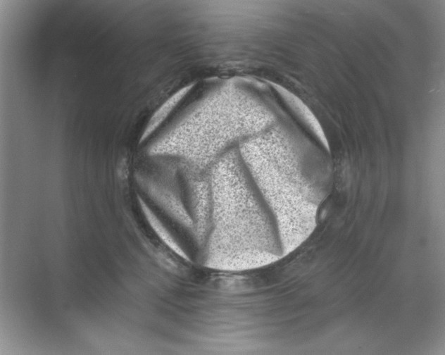 X0000068720472200605192258
