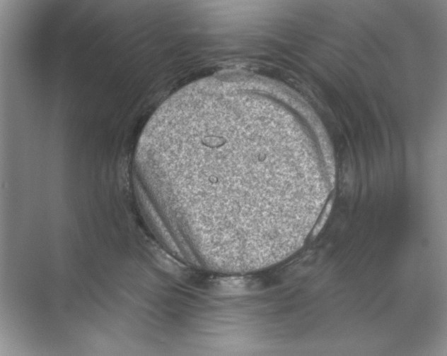 X0000068720473200605192258