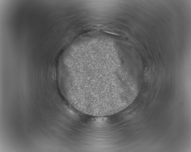X0000068720474200605192258