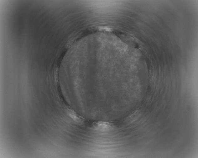X0000068720475200605192258