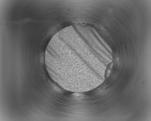 X0000068720477200605192258