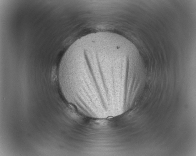 X0000068720478200605192258