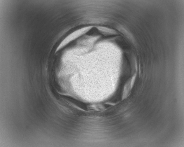 X0000068720483200605192257