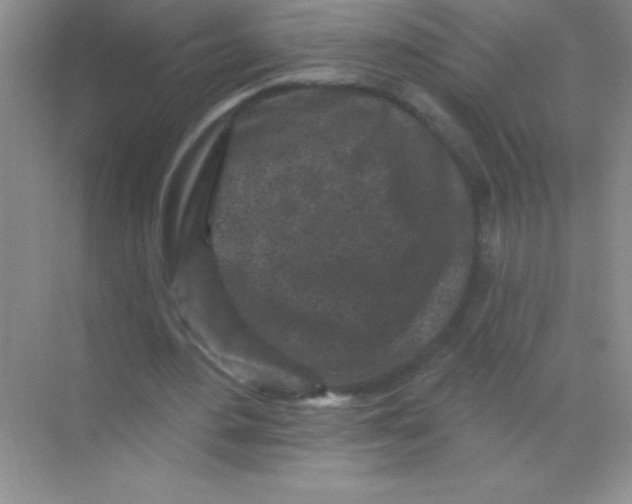 X0000068720484200605192257