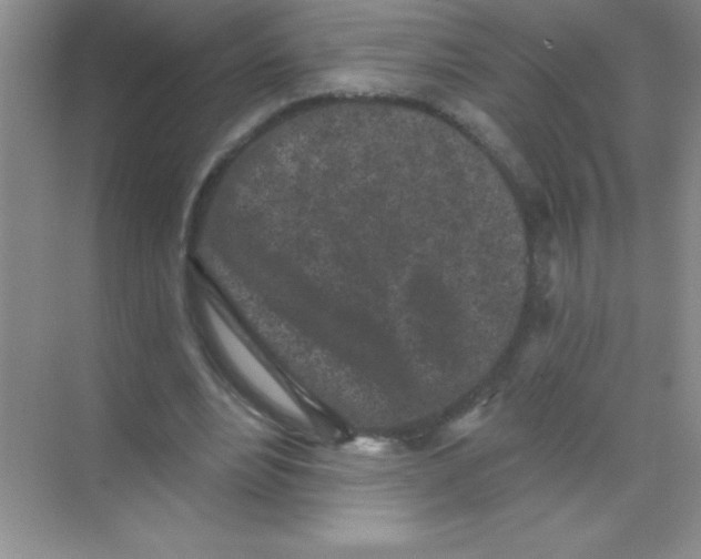 X0000068720488200605192257