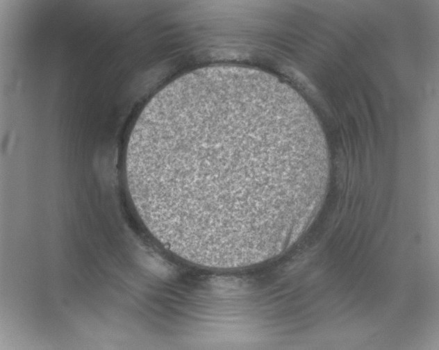 X0000068720490200605192257