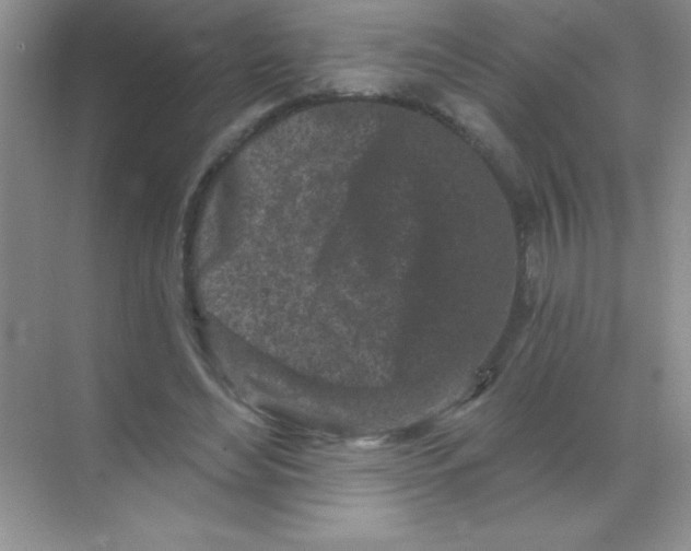 X0000068720492200605192257
