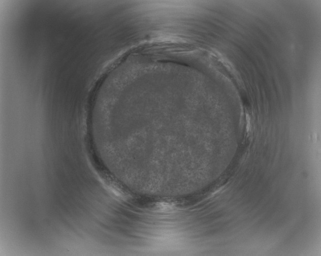 X0000068720496200605192257