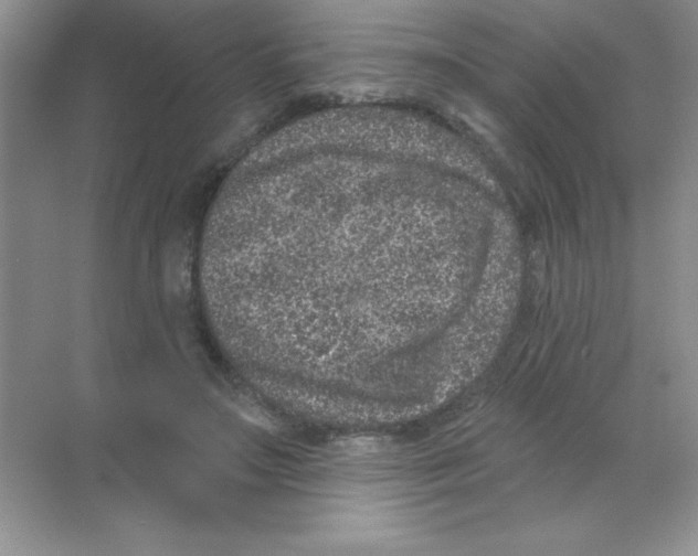 X0000068720499200605192257