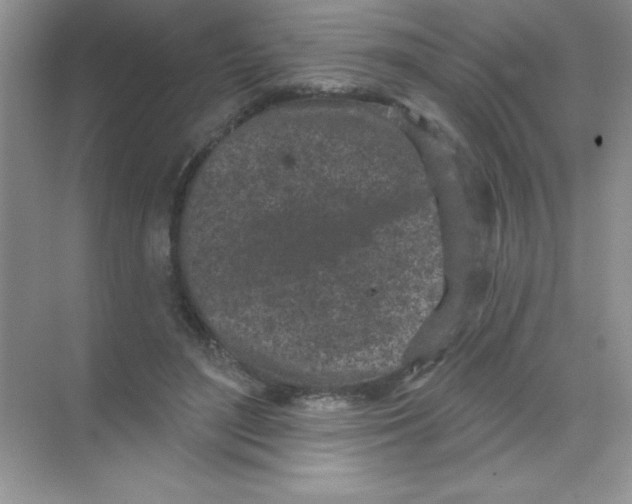 X0000068720500200605192257