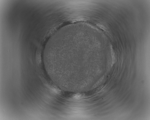X0000068720504200605192257