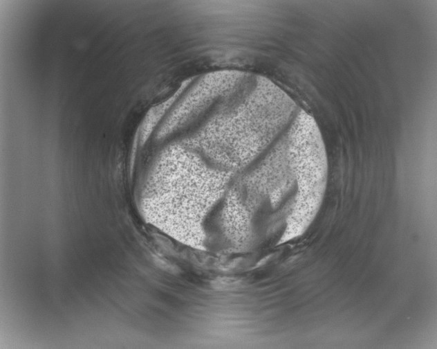 X0000068720513200605192256