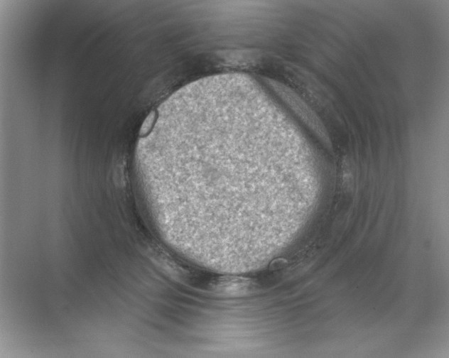 X0000068720514200605192256