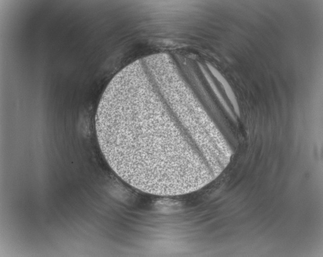 X0000068720515200605192256