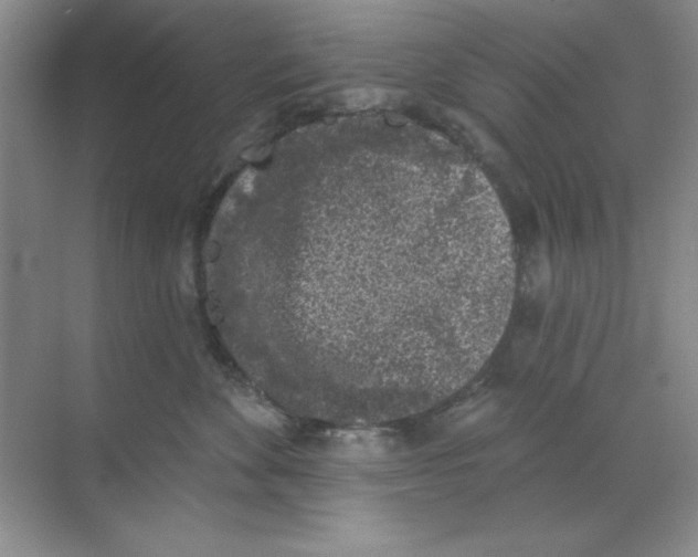 X0000068720524200605192256