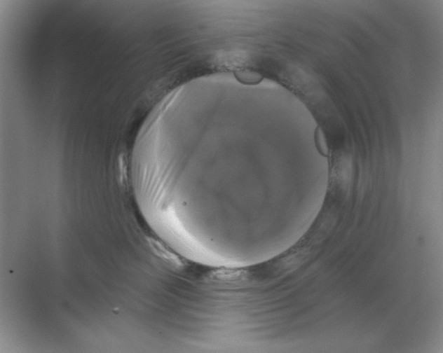 X0000068720526200605192256