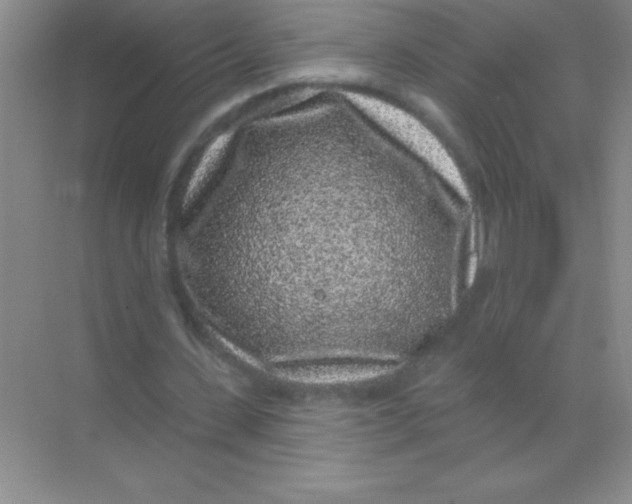 X0000068720531200605192255
