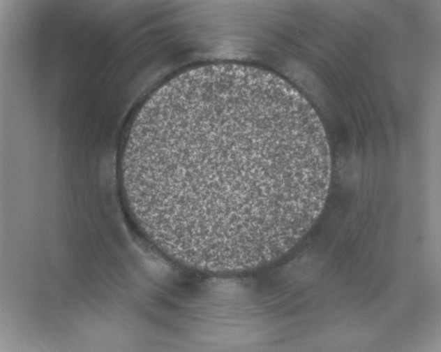 X0000068720534200605192256