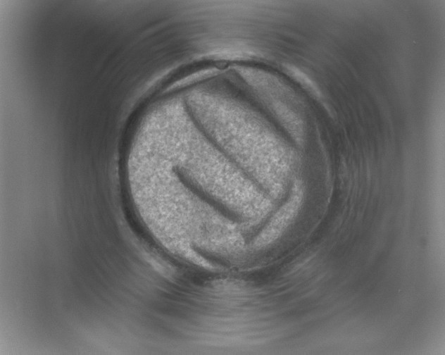 X0000068720535200605192256