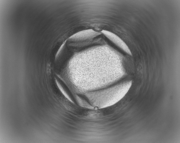 X0000068720555200605192256