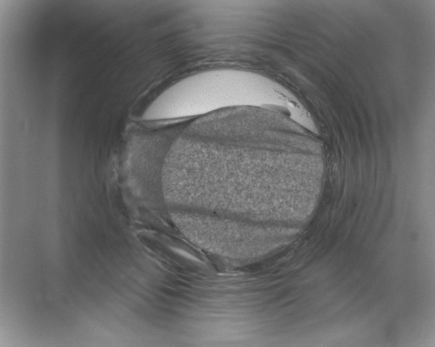 X0000068720556200605192256