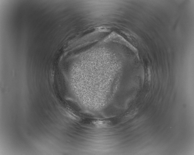 X0000068720558200605192256