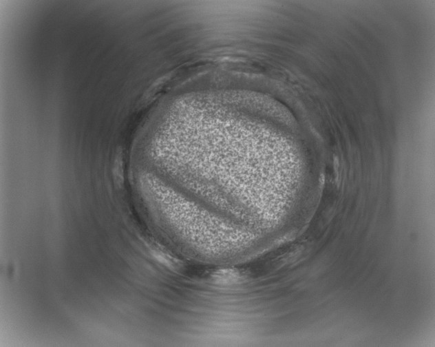X0000068720562200605192256