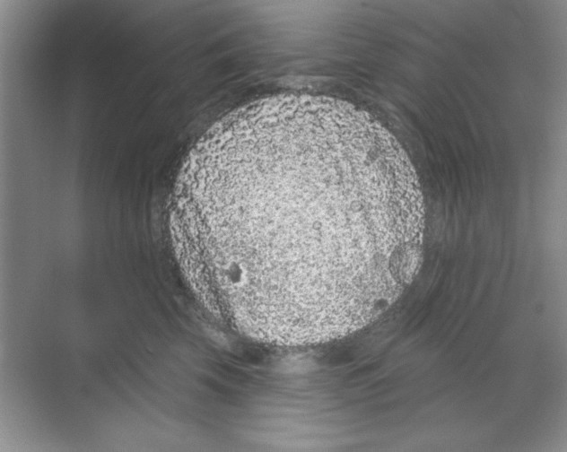 X0000068720569200605192256