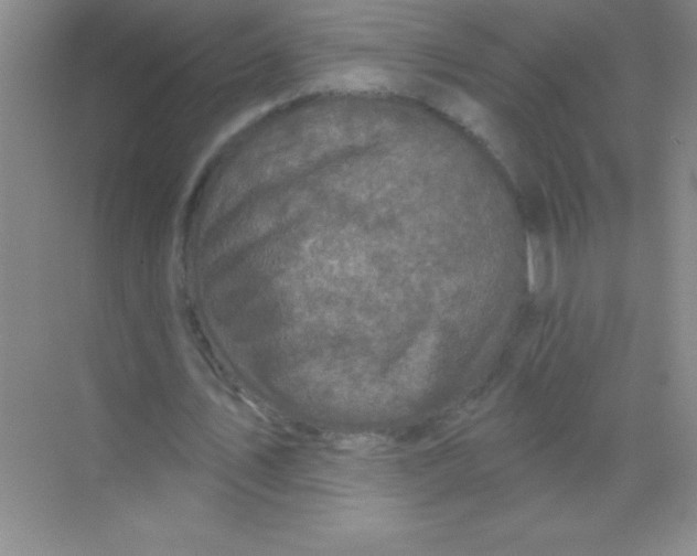 X0000068720579200605192255