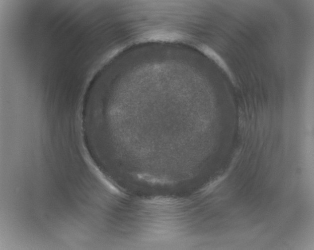 X0000068720581200605192255