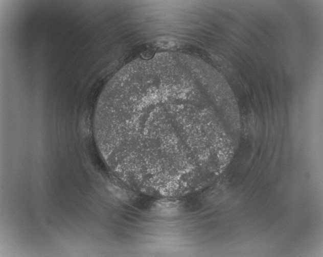 X0000068720606200605192255