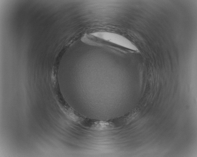 X0000068720607200605192255