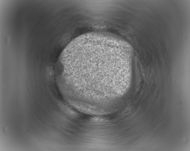 X0000068720614200605192255
