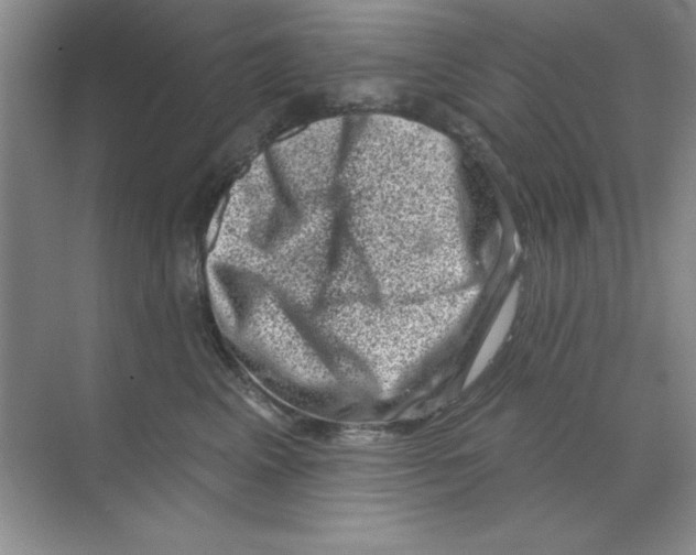 X0000068720617200605192255