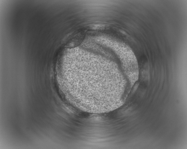 X0000068720620200605192255