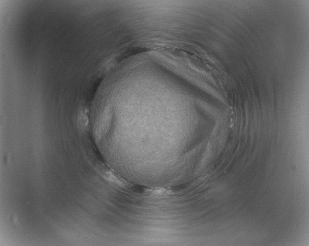 X0000068720621200605192255