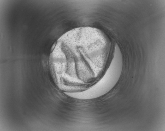 X0000068720624200605192255