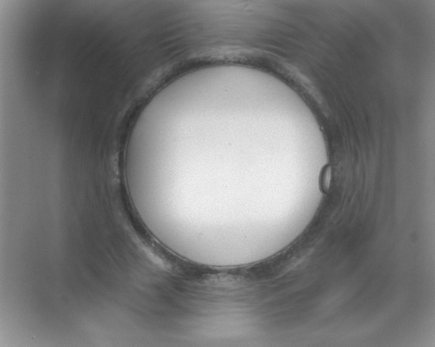 X0000068720633200605192254