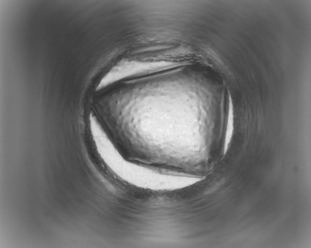 X0000068720634200605192254